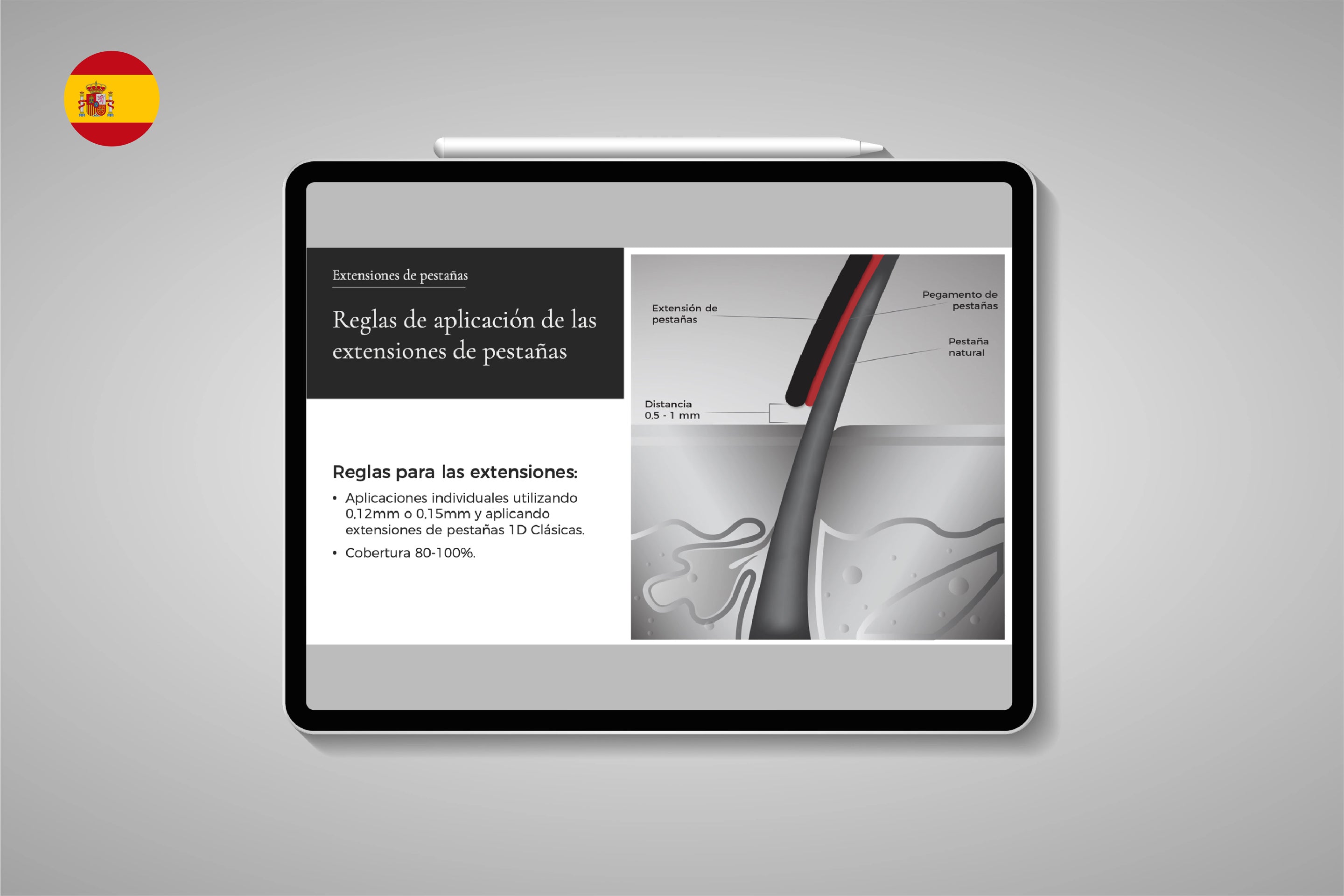 Editable Classic Lash Training Presentation in Spanish