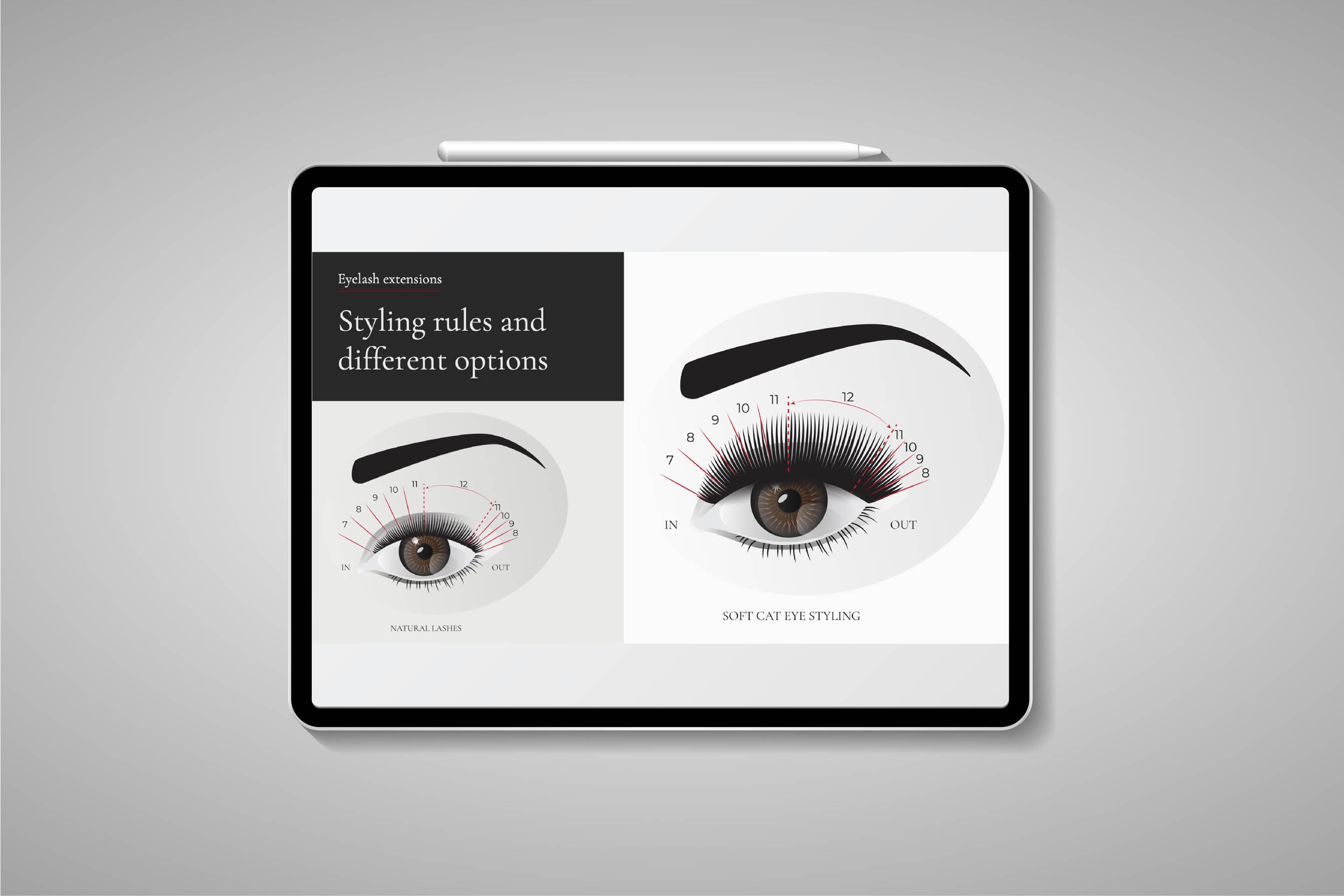 Editable Classic Lash Training Presentation