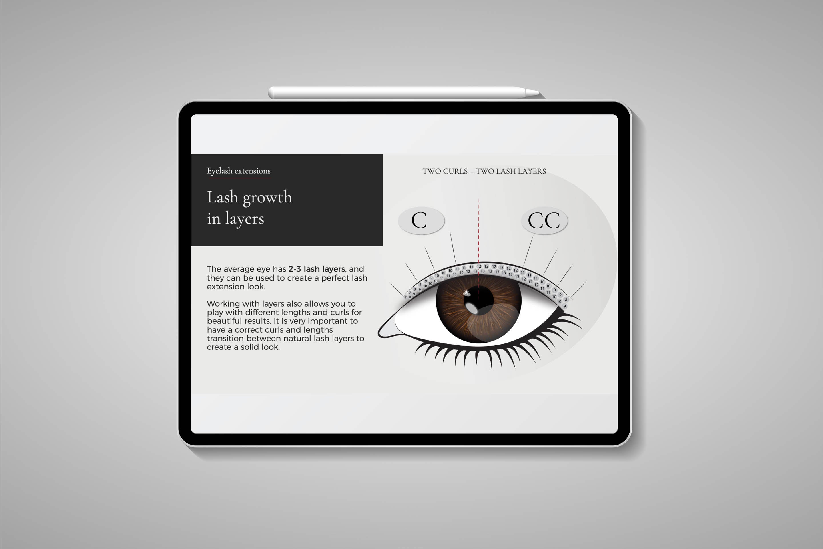 Editable Volume Lash Training Presentation